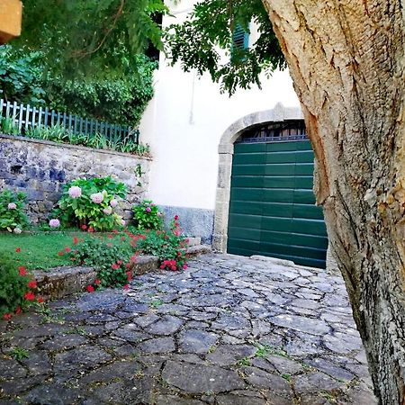 Villa Gioia Montelaterone Eksteriør billede