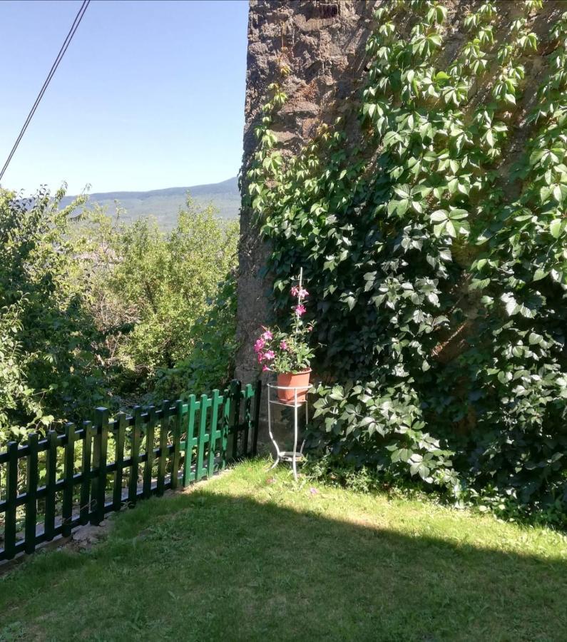 Villa Gioia Montelaterone Eksteriør billede